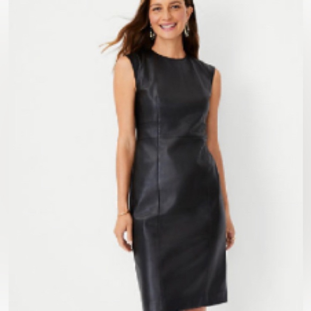 Ann Taylor faux leather sheath-NWT sz 10